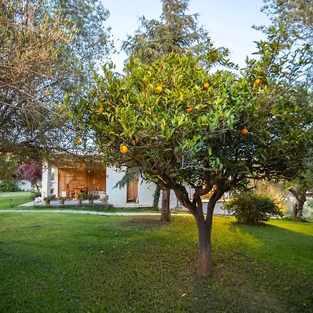 Myrtia Olive Hideaway - Rustic Retreat With Private Garden Feriehus Agios Ilias (Elis)