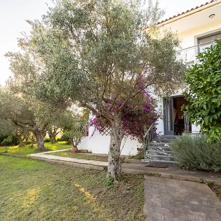Myrtia Olive Hideaway - Rustic Retreat With Private Garden Agios Ilias (Elis)