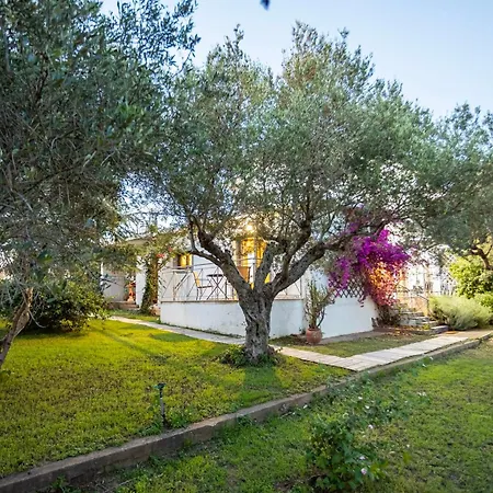 Myrtia Olive Hideaway - Rustic Retreat With Private Garden Agios Ilias (Elis)