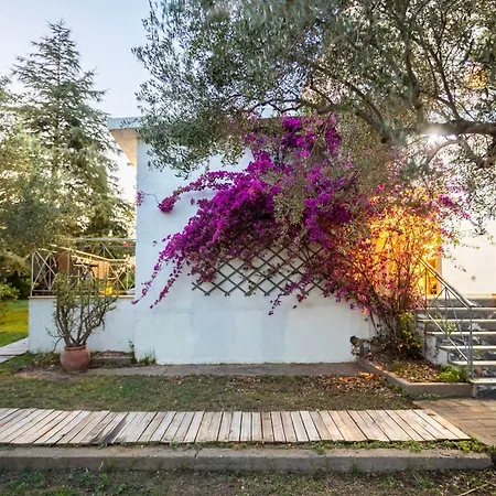 Feriehus Myrtia Olive Hideaway - Rustic Retreat With Private Garden *
